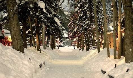 Snowy Lane, Aspen, Colorado 