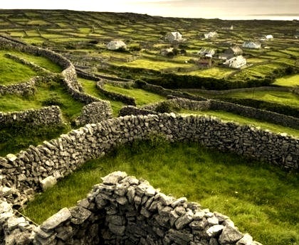 Stone Fence Maze, Ireland 