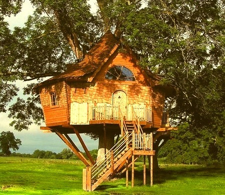 Tree House, Scotland