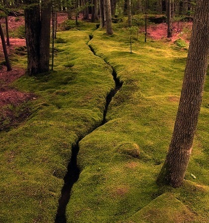 Mossy Creek, Desert Island, Maine